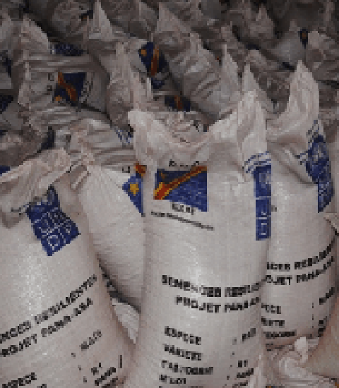 Stock-de-semences-résilientes-à-kipopo_Katanga